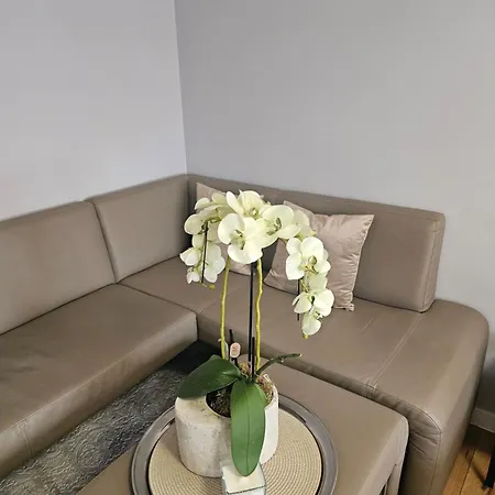 Luksusowy Nad Jeziorem * Sztum