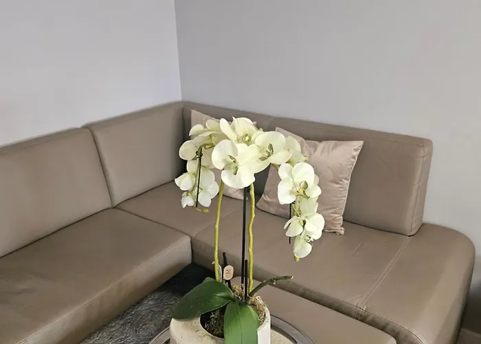 Luksusowy Nad Jeziorem * Sztum