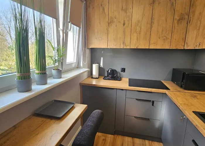 Apartmán Luksusowy Nad Jeziorem