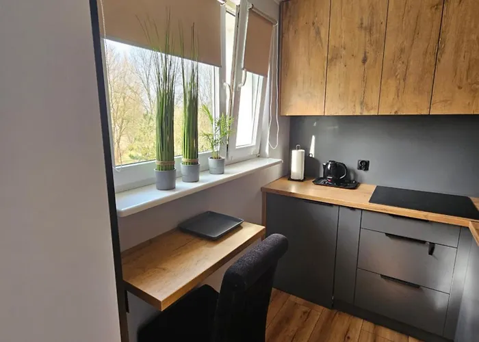 Luksusowy Nad Jeziorem *